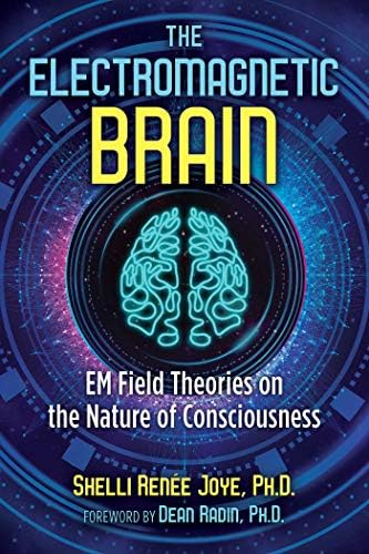 The Electromagnetic Brain: EM Field Theories on the Nature of Consciousness