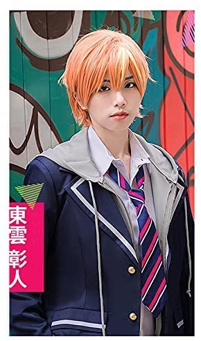 遥様 ウィッグオーダー 専用ページ 【東雲彰人】 遥様 ウィッグオーダー 専用ページ 【東雲彰人】