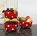 Set of 3 POLKA DOTS Red Ceramic Mixing Bowls, 82169MIX By ACK