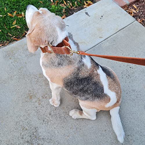Blazingpaws Vibrania Martingale Slip-On Thick Distressed Leather Dog Collar For Large Xl Xxl Dogs, 1.5 Inch Wide In Colorful Antique Shades (L: Neck Size 15-19 Inches, Tan) #TOP2