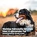 AniForte Bierhefe Pulver für Hunde 500g - Naturprodukt für glänzendes, kräftiges Fell & Vitale Haut, Mit Biotin & Vitamin B für Hunde