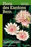 Flora des Kantons Bern: Vom Jura zum Jungfraumassiv - 2000 Blüten- und Farnpflanzen - Konrad Lauber, Gerhart Wagner, Andreas Gygax 