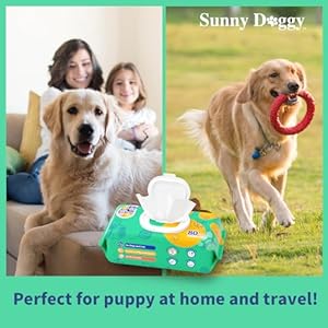 Pet Wipes 480 Count, Dog Wipes Cleaning Deodorizing Cat Wipes, 8 x 8 Inch Dog Grooming Wipes for Butt Paws Ear Eyes and Body, Pack of 6