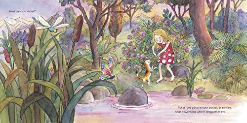 How to Ride a Dragonfly - Image 3