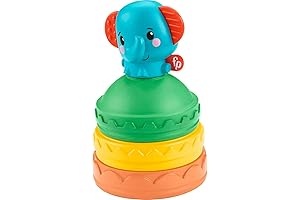 Fisher-Price Infant Stacker Activity Toy