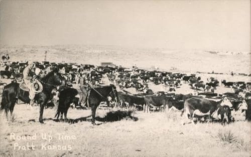 Round Up Time Pratt, Kansas KS Original Vintage Postcard