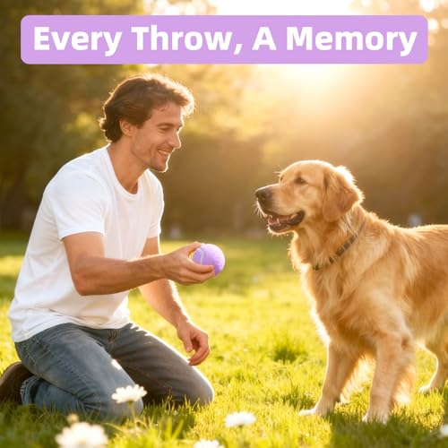 Image of Sunraymascota 6-Pack Tennis Balls for Dogs Fetch Toys,for Beginner Practice