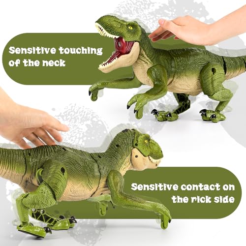 Photo complémentaire