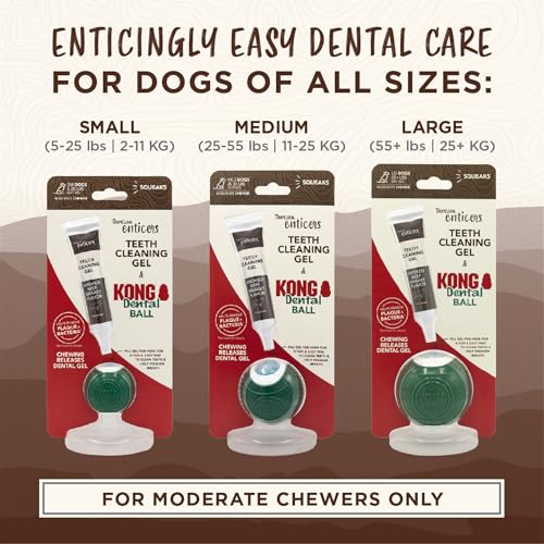 Image of TropiClean Enticers Kong Dental Ball Kit for Large Dogs | Teeth Cleaning Gel | Smoked Beef Brisket Flavor | 1 oz.
