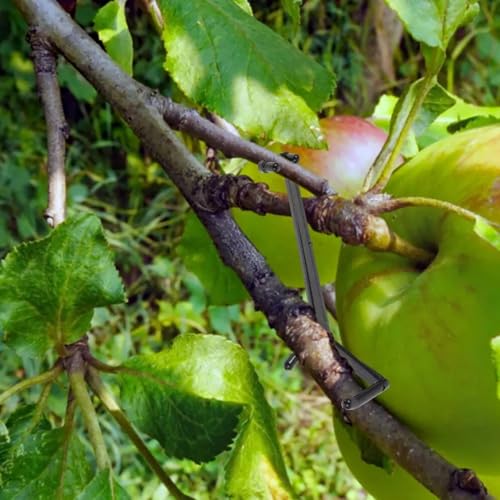 Separadores ajustables para ramas de árboles frutales 20 piezas miniatura 2