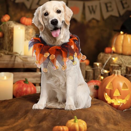 Adereços para fantasia de gato de Halloween - Traje de fantasia de animal de estimação de Halloween