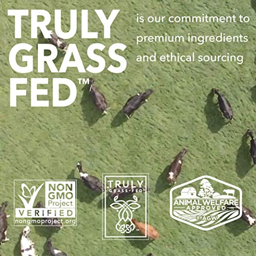 Iconic Protein Drinks, Café Latte (12 Pack) - Sugar Free & Low Carb - 20G Protein + 100Mg Caffeine - Lactose Free, Gluten Free - Keto Friendly Protein Coffee #TOP7