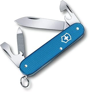 VICTORINOX(ビクトリノックス) ナイフ カデットALOX リミテッドエディション 2020【国内正規品 保証付】0.2601.L20