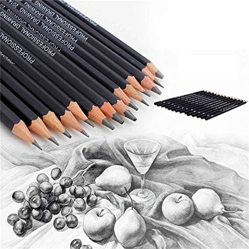 Sketching Pencil Set, 24 Pcs Graphite Drawing Pencil for Artists Adults Children Include 12B 10B 8B 7B 6B 5B 4B 3B 2B B HB 2H 4H 6H Pencils, Charcoal Pencils, Canvas Pencil Bag and Accessories
