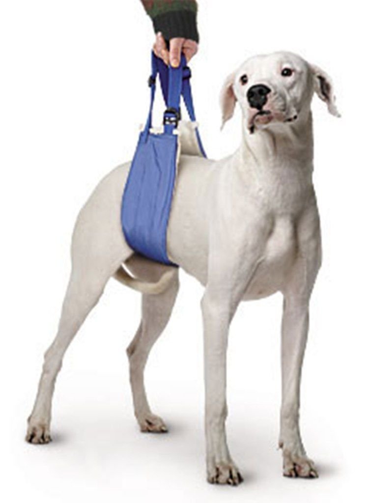 Pet Supplies Soft Quick Lift Large