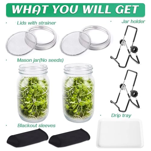Kit de pots de germination de graines pour éliminer les risques de moisissures - 3