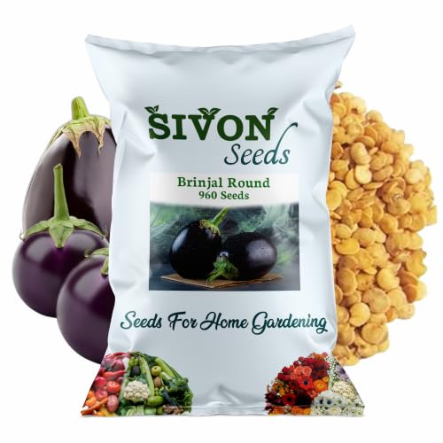 Image of SIVON Brinjal Round (Gol Baigan) (950+ Seeds) Vegetable Seeds for Home Garden, Organic & Hybrid, Perfect for Home Gardening, Planting For Pots and Patio