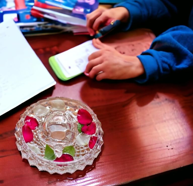 Image of Vastu Feng Shui Crystal Turtle Tortoise with Water Plate for Good Luck Wealth Prosperity Career Growth Home Office Decor Vastu Remedies Feng Shui Tortoise