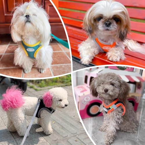 LOS ANDES Hundegeschirr mit Leine, Reflektierend, Weich Gepolstert, Air-Mesh, für Kleine Hunde und Katzen, in Grey Reflective, Größe S