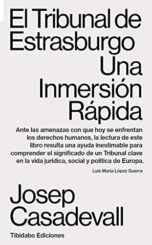  El Tribunal de Estrasburgo: Una inmersión rápida (Spanish Edition) PDF Ebook En Ligne