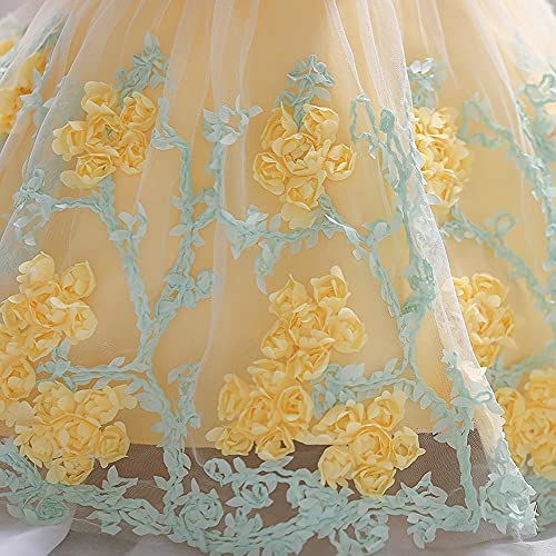 Dressy Daisy Baby Girls Wedding Flower Girl Pageant Dress Party Tulle Skirt For Special Occasion Size 12-18 Months Yellow #TOP4