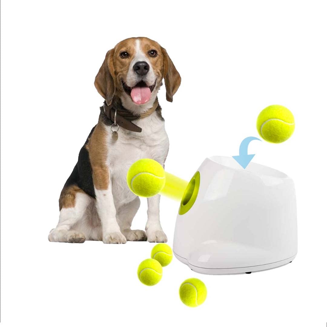 Interactives Maximus Team Automatic Dog Ball Launcher for Small Dogs