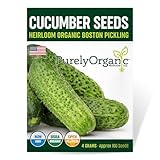 Organic Boston Pickling Cucumber Seeds - USDA Organic, Non-GMO, Open Pollinated, Heirloom, USA Origin (1 Packet - 4 Grams - Approx 100 Seeds)