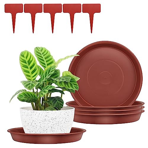 Amazon.co.uk Best Sellers The most popular items in Plant Saucers