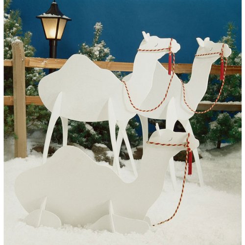 A Full Size Woodworking Pattern and Instructions to build 48 inch tall Camels
