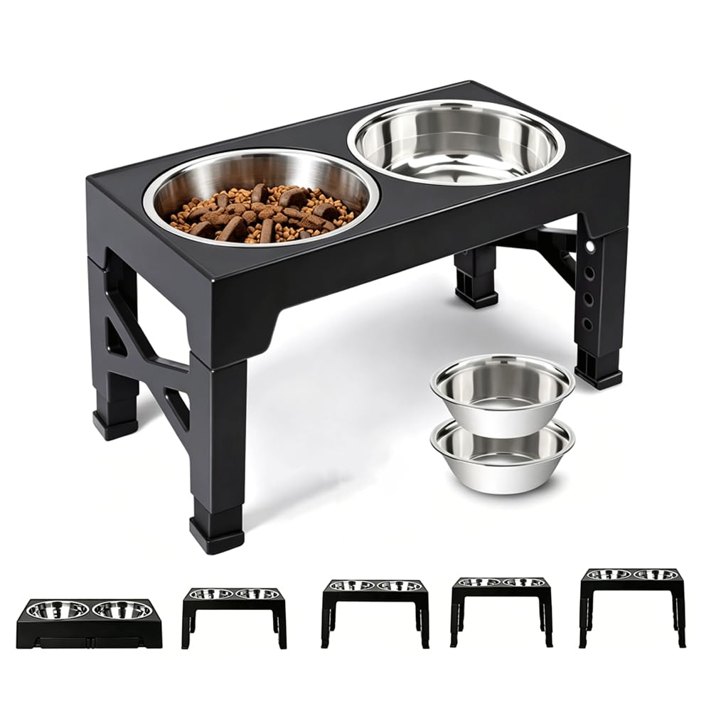 Gamelles surélevées pour Chiens Moyens et Grands - Accessoires - 5 hauteurs réglables : 8 cm, 22 cm, 25 cm, 28 cm et 31 cm - Gamelle avec Support pour Nourriture et Eau - Station d'alimentation pour