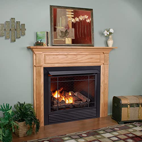 Duluth Forge Fdi32R Dual Fuel Ventless Fireplace Insert - 32,000 Btu, Remote Control #TOP3