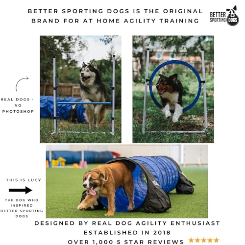 Dog Trainer with Agility Set