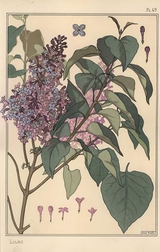 Tableau sur toile Lilas Eugène Grasset habillage mur vide