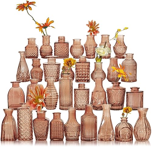 Glass Bud Vase Set of 32 Pcs, Small Glass Vases...