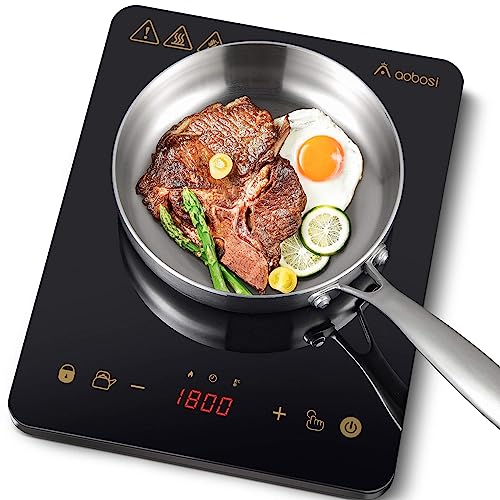 9 Best Hot Plates In 2021 Induction, Electric Coil And Iron Plate
