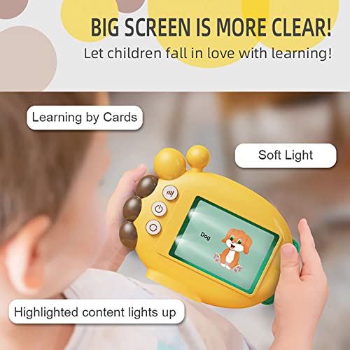 Brinquedo de leitor de cartão em inglês, vários tópicos, brinquedos de cartões de flash falados para
