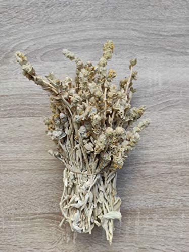 Té Salvaje Griego De Montaña Malotira Sideritis Syriaca 220g - 5KG Cosecha Junio 2022 (5 KG) - Imagen 4