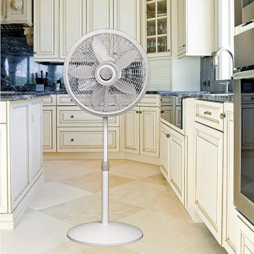 Lasko 1820 18″ Elegance & Performance Adjustable Pedestal Fan, White - Features Oscillating Movement Tilt-Back Fan Head (Renewed) #TOP5