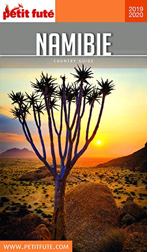 Télécharger NAMIBIE 2019/2020 Petit Futé (Country Guide) Francais PDF
