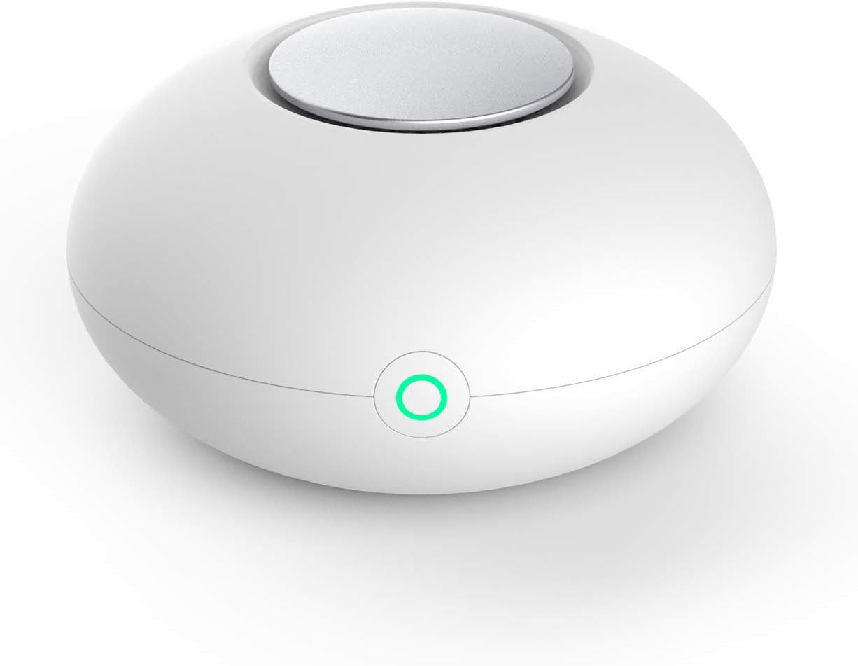 RIGOGLIOSO Mini Ozone Generator Deodorizer Air Purifier, USB Rechargeable Refrigerator Purifier Portable air Deodorizer for Small Space Clear Odor