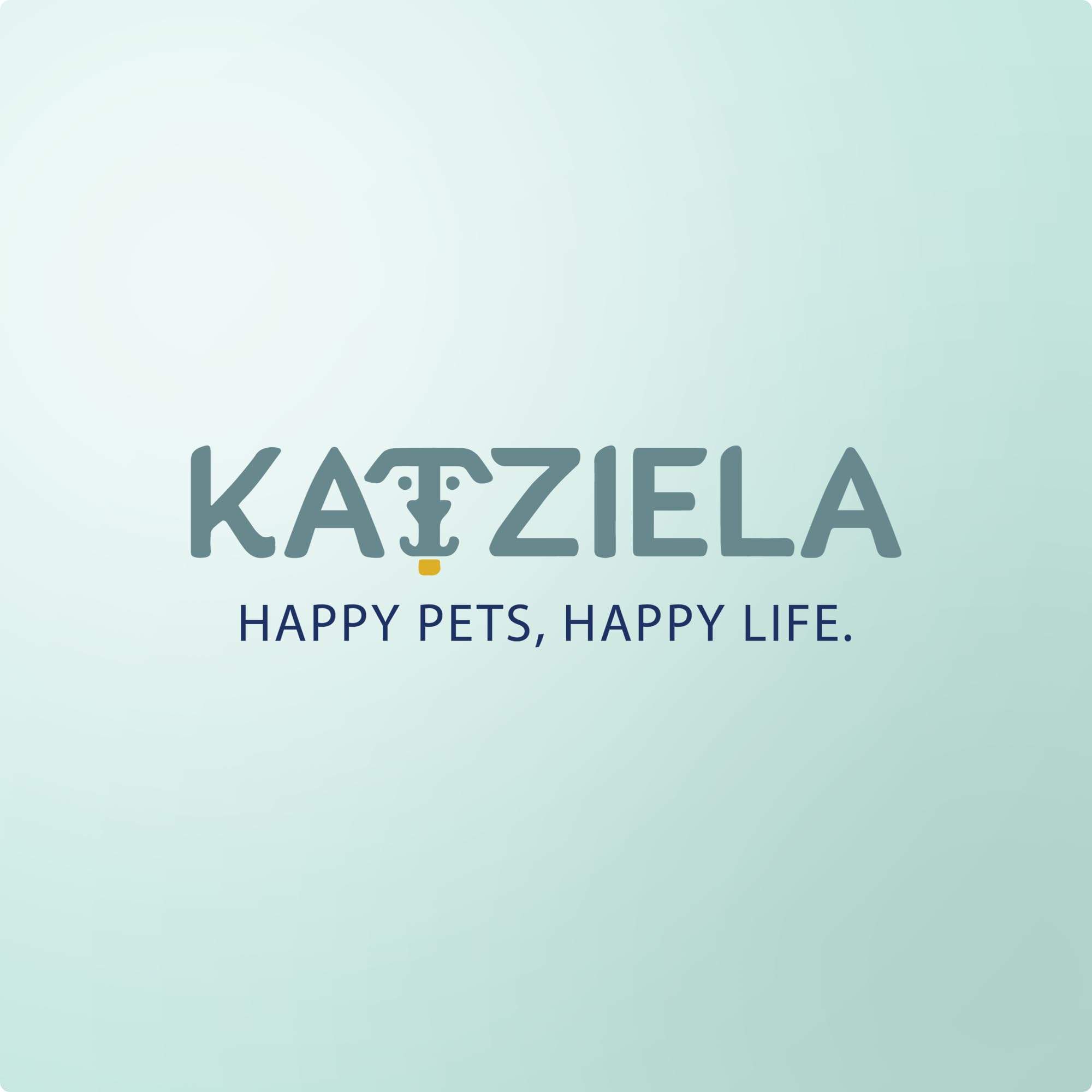 Katziela Deluxe, gesteppte, von Fluggesellschaften zugelassene Transportbox für Hunde und Katzen, für Flugzeugreisen, groß, Grau