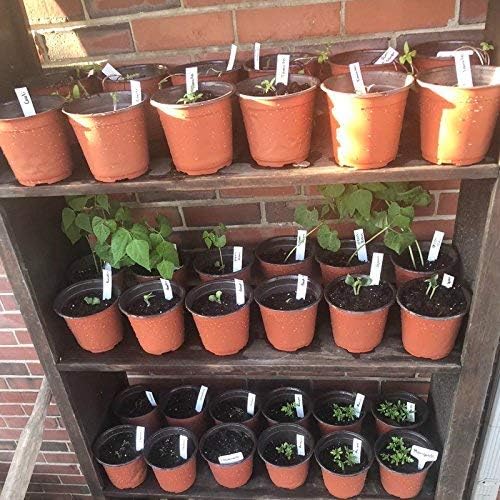 Vista 6 de KINGLAKE 100 piezas de plantas de plástico de 6 pulgadas, macetas de viveromacetas de plántulas de plantas de flores, macetas de inicio de semillas