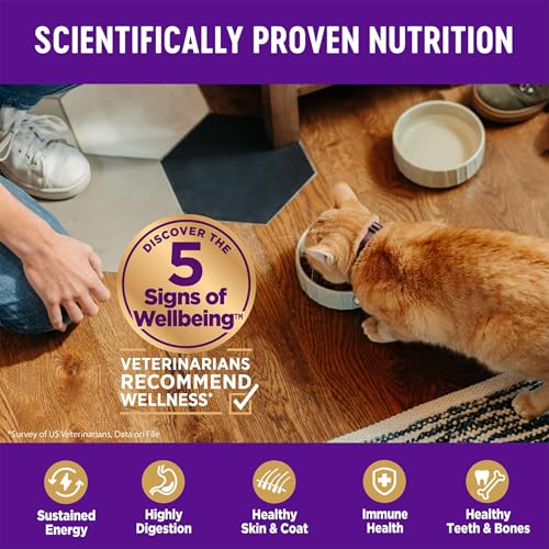 Image of Wellness Complete Health Adult Dry Cat Food for Indoor Cats, Natural, Grain Free Kibble, Chicken Recipe, 11.5 lb Bag