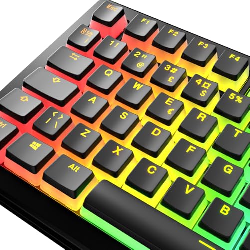 Capuchons Pudding Glorious Translucides en PBT Doubleshot pour Customisation