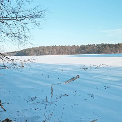 Frozen Winter Lake Wind &bull; Natural Cold Season Soundscape