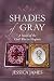 Shades of Gray: A Civil War Love Story: A Novel of the Civil War in Virginia