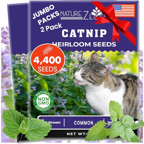 NatureZ Edge Catnip Seeds for Planting 2.6 Grams 4400+ Herb Seeds Indoor or Outdoor Growing Your Cat Will Love Them Non-GMO