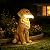 COWOS Solar Dog Statue with Glowing Bone, Golden Retriever Dog Statues for Outdoor Garden Decor, Weatherproof Dog Figurines and Pet Memorial Gift