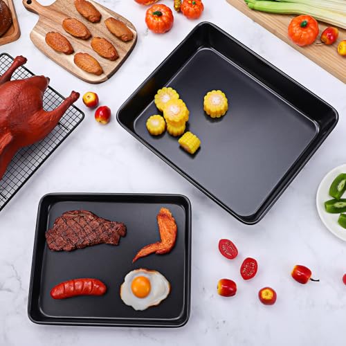 Set de 2 plaques de cuisson en acier pour four à grille et repas - 4