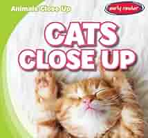 Amazon.com: Cats Close Up (Animals Close Up): 9781538281215